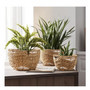 Handcrafted Seagrass Planter Pots Cover for Living Room Decor