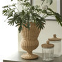 Handcrafted Vintage Rattan Plant Pots for Indoor Use