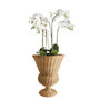 Handcrafted Vintage Rattan Plant Pots for Indoor Use