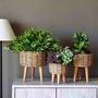 Handmade Jute Planters for Home and Garden Decor