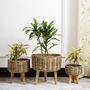 Handmade Jute Planters for Home and Garden Decor