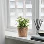 Handmade Natural Water Hyacinth Indoor Planter