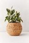 Handmade Water Hyacinth Woven Plant Holder