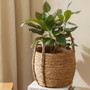 Handmade Woven Seagrass Basket for Indoors