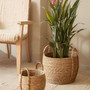 Handmade Woven Seagrass Basket with Handles for Home