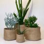 Jute Burlap Grow Bags for Planting Trees