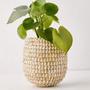 Mini Seagrass Woven Planters and Storage Baskets