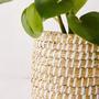 Mini Seagrass Woven Planters and Storage Baskets