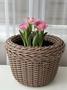 Minimalist Rattan Woven Planter for Houseplants