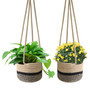 Modern Hanging Flower Planter for Outdoors or Window