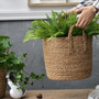 Natural Rattan Wicker Baskets for Home and Garden Decor