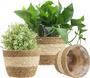 Natural Seagrass Gardening Basket for Plants