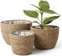 Natural Seagrass Gardening Basket for Plants