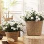 Natural Seagrass Gardening Basket for Plants