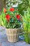 Natural Wicker Garden Planter Basket for Flowers