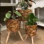 Natural Wicker Planter Stand Set for Indoor Spaces