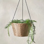 Natural Woven Rattan Hanging Flower Holder for Herbs and Ferns