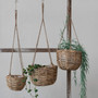 Natural Woven Rattan Hanging Flower Holder for Herbs and Ferns