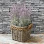 Rattan Handcrafted Planter Pots for Garden and House