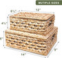 Rectangular Water Hyacinth Baskets with Lids - Multi-Use Rattan Decor