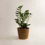 Retro Rattan Plant Pot for Home Decoration