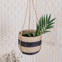 Round Small Seagrass Woven Basket Decorative Hanging Pots