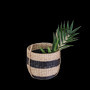 Round Small Seagrass Woven Basket Decorative Hanging Pots