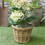 Round Wicker Plant Basket Set for Garden