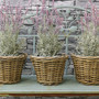 Round Wicker Plant Basket Set for Garden