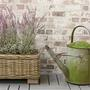 Rustic Wicker Flower Basket Planter for Home Decoration