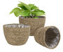 Seagrass Planter Basket for Home Decor - Indoor & Outdoor Use