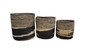 Set of 3 Decorative Seagrass and Corn Husk Woven Baskets