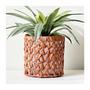 Stylish Indoor Water Hyacinth Plant Pots