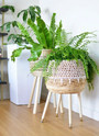 Stylish Woven Rattan Plant Stand for Indoor Decor