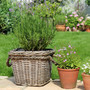 Versatile Rattan Planter Pots for Home and Garden