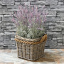 Versatile Rattan Planter Pots for Home and Garden