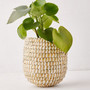 Woven Seagrass Mini Planters and Storage Basket