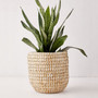 Woven Seagrass Mini Planters and Storage Basket