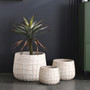 Big Size Tall Fiber Clay Flower Pots for Indoor and Outdoor