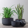 Black Ceramic Plant Pot - Versatile Fiber Clay for Home and Garden