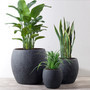 Black Ceramic Plant Pot - Versatile Fiber Clay for Home and Garden