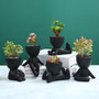 Cute Mini Ceramic Pots for Succulent Plants