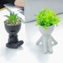 Cute Mini Ceramic Pots for Succulent Plants