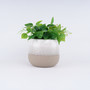 Decorative Ceramic Plant Pots for Home and Garden