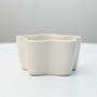 Elegant White Ceramic Plant Pots for Succulent Plants