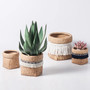 Farmhouse Plant Pot with Weave and Tassel Design for Succulent