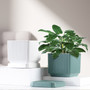 Indoor Square Ceramic Plant Pot Decor with Tray