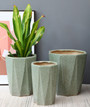 Large Green Ceramic Plant Pot for Your Home Decoration