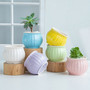 Macaron Pink and Purple Ceramic Plant Pot for Indoor Decor