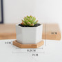 Minimalist Small White Ceramic Plant Pots For Indoor Decor